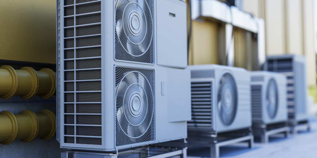 Professional Editing Services